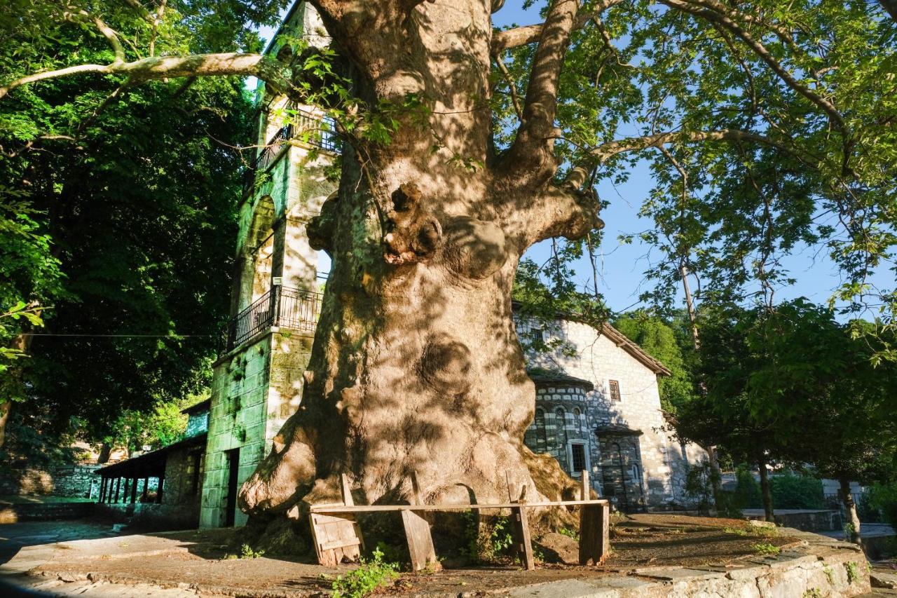 A Dream Deferred Villa Pelion キソス エクステリア 写真