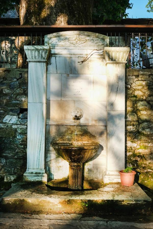 A Dream Deferred Villa Pelion キソス エクステリア 写真