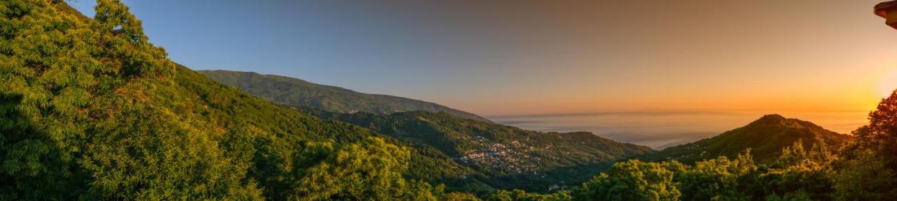 A Dream Deferred Villa Pelion キソス エクステリア 写真